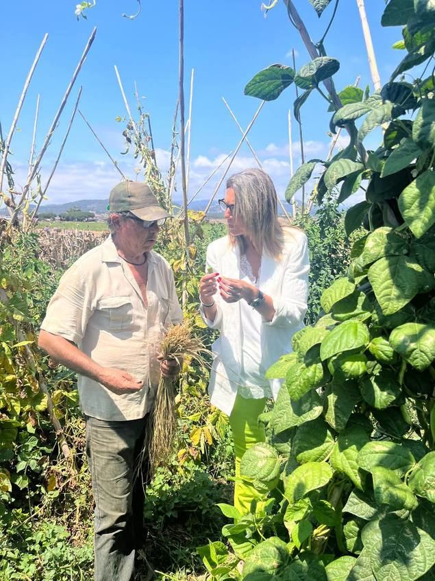 Veray (PP): “Reconeixerem per llei el sector agroalimentari com a sector estratègic per a l’economia del nostre país”